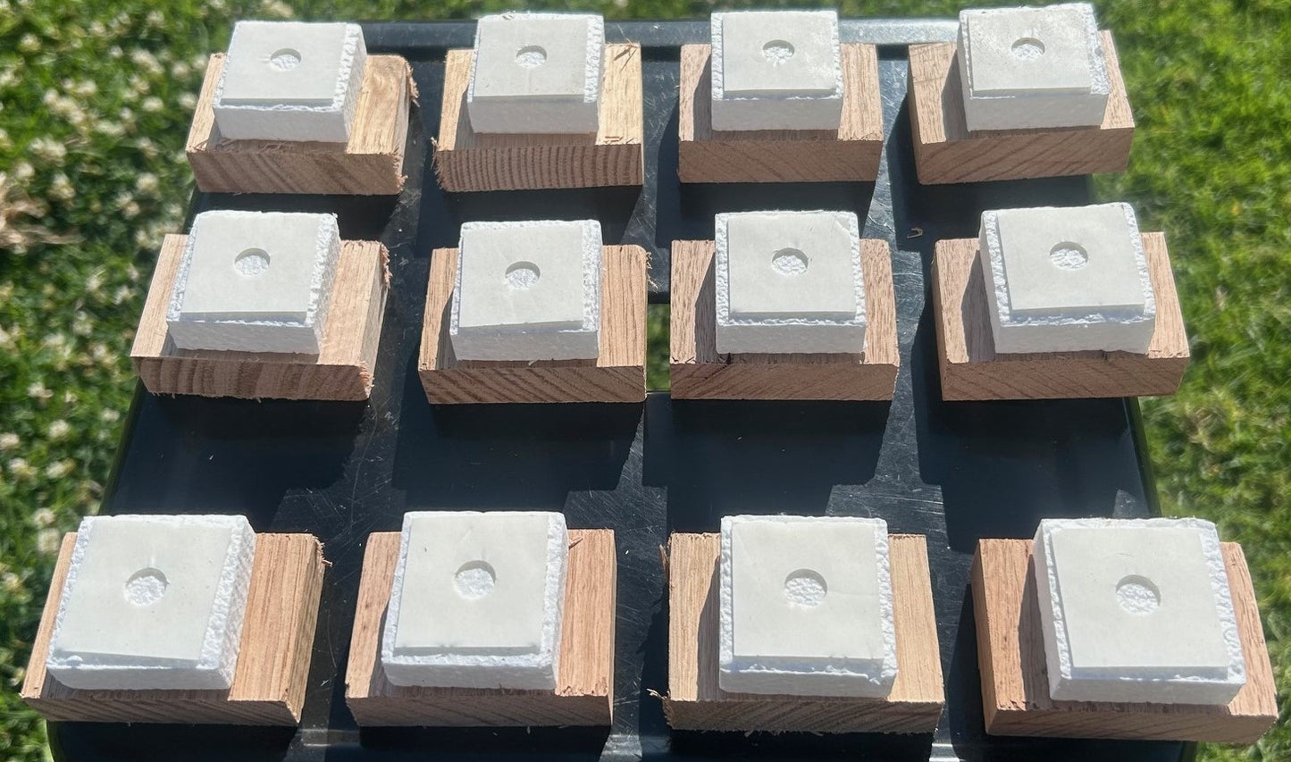 Easy Termite Bait Monitor™ Station Timbers By 12